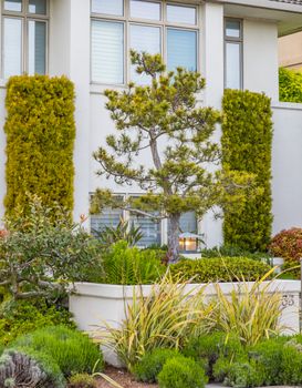 Beautifully designed residential landscape with plants and garden beds