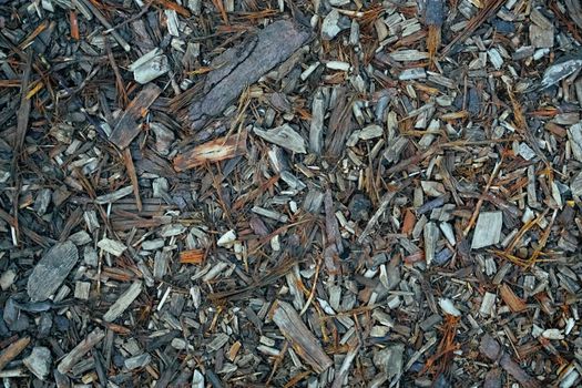 Wood chip mulch in garden beds around plants
